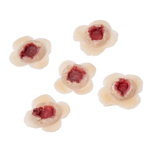 Grimas Latex Wounds luodinreiät 815